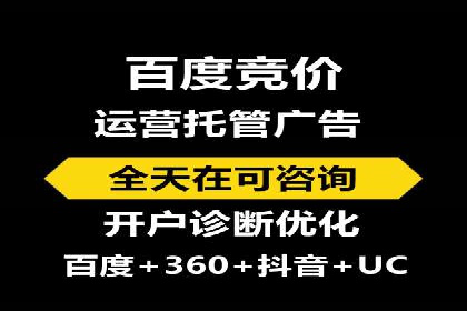 百度竞价广告的投放策略与成功案例分析